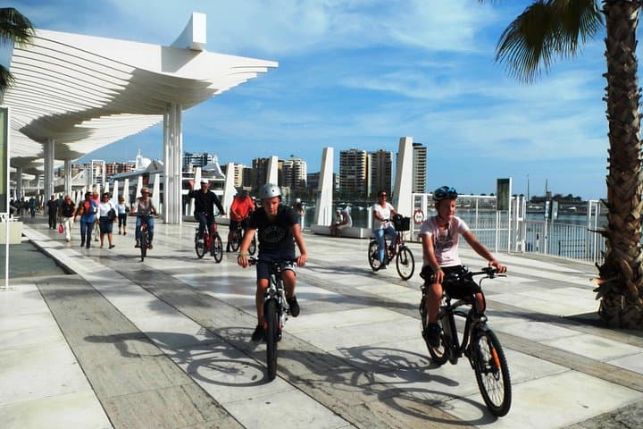 2h Electric bike tour - Palmeral de las sorpresas