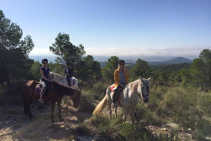 Horse ride
