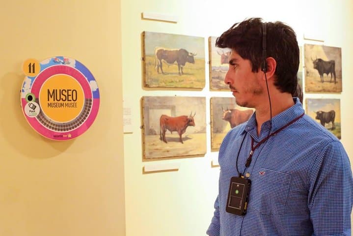 Audio Guided Tour of the Bullring of Las Ventas in Madrid