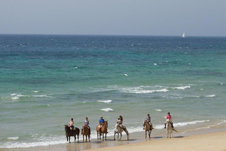 Horseback Riding by the beach or mountain in Tarifa, Spain - 1 to 2 hrs