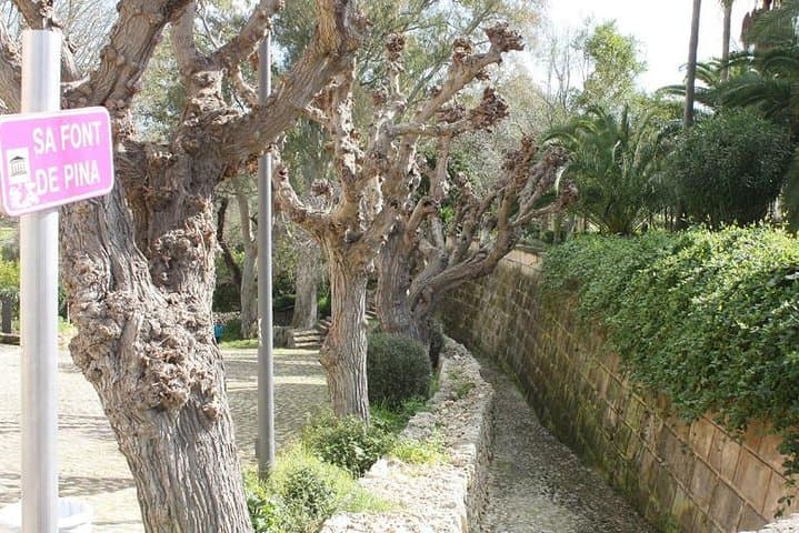 5-hours Tour: Mallorca Inland Charming Villages