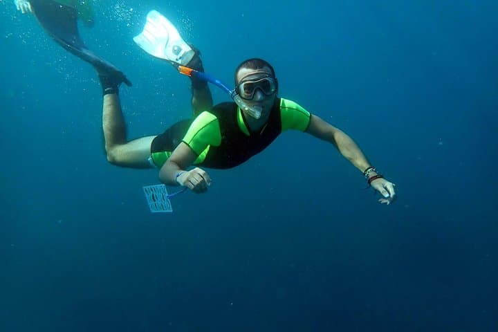 Snorkeling excursion to Tabarca Island