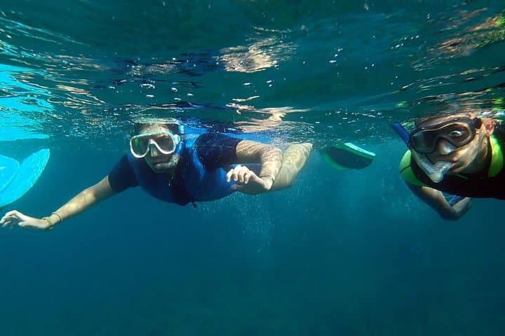 Snorkeling excursion to Tabarca Island