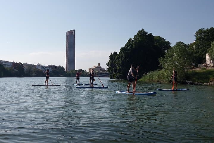 Paddle Surf Rental