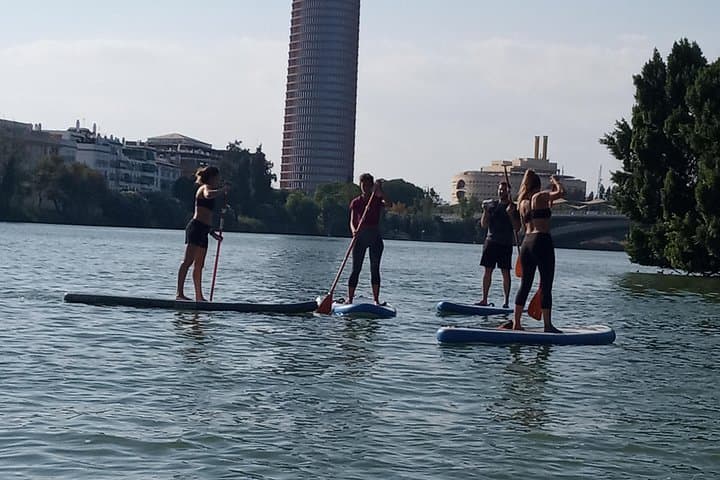 Paddle Surf Rental