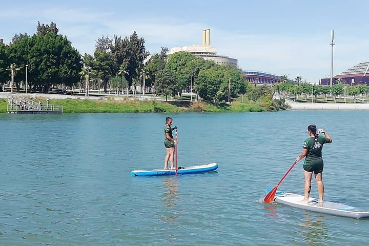 Paddle Surf Rental