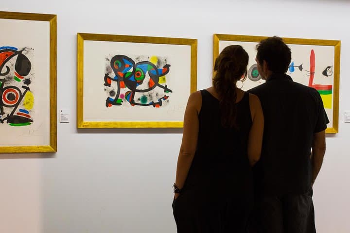 Fran Daurel museum