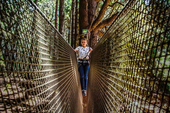 Forestal Park Tenerife Entrance Ticket