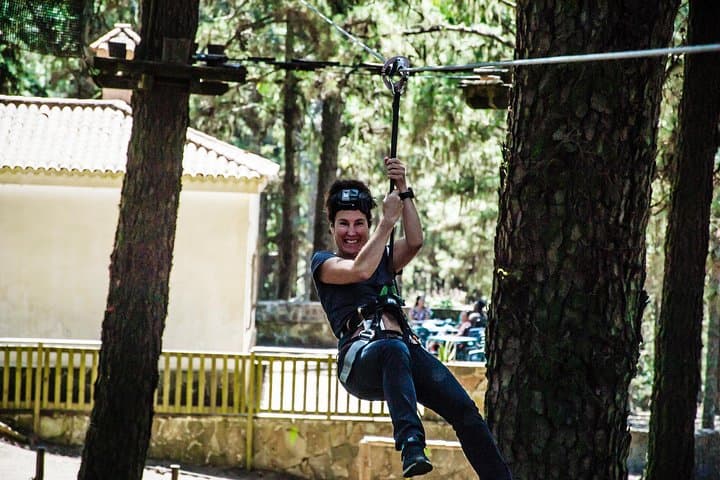 Forestal Park Tenerife Entrance Ticket