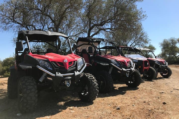 3h buggy route through the Dehesa Extremeña