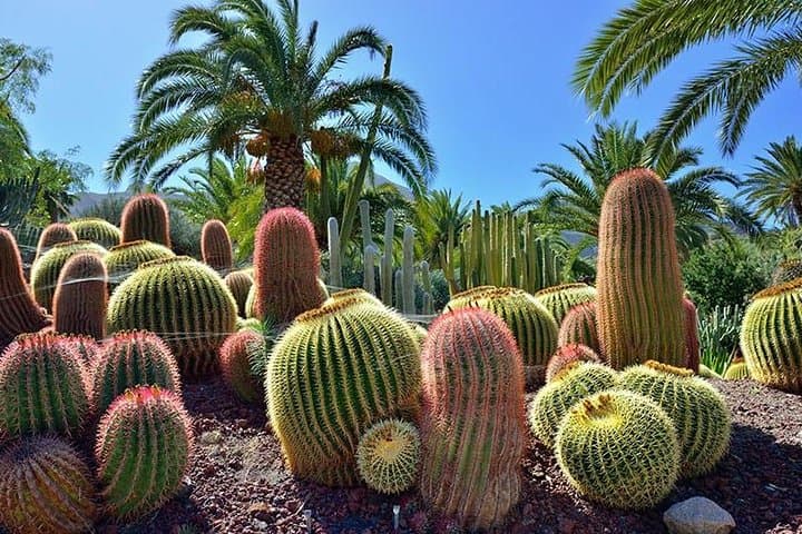 Botanical Garden