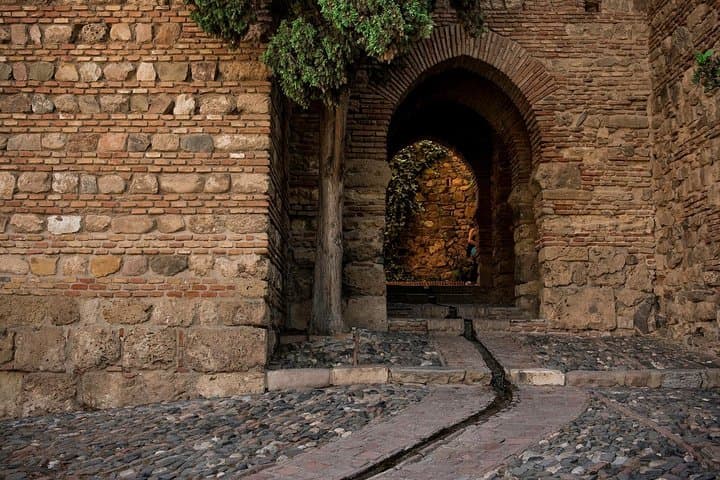 Malaga Roman Theater & Alcazaba: Guided Tour with Official Guide