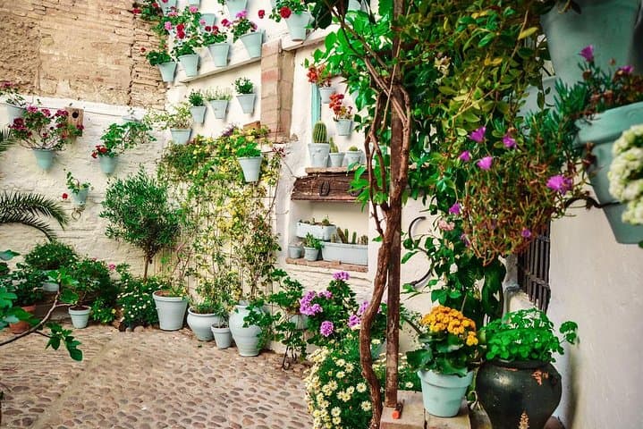 Patios tour in Cordoba