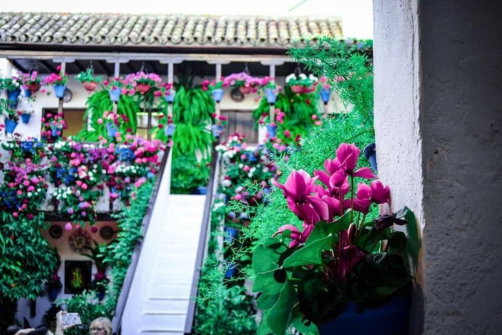 Patios tour in Cordoba