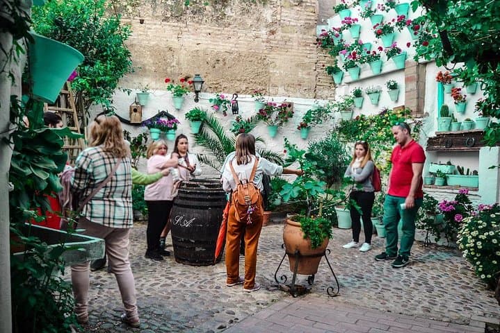 Patios tour in Cordoba