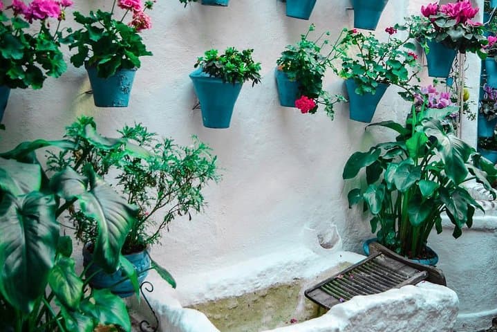 Patios tour in Cordoba