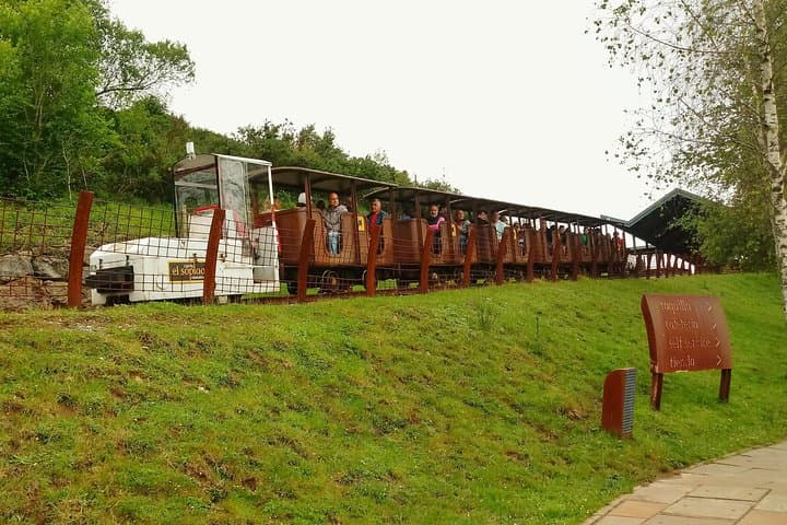 El Soplao train