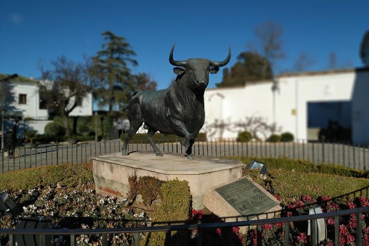 Angry bull