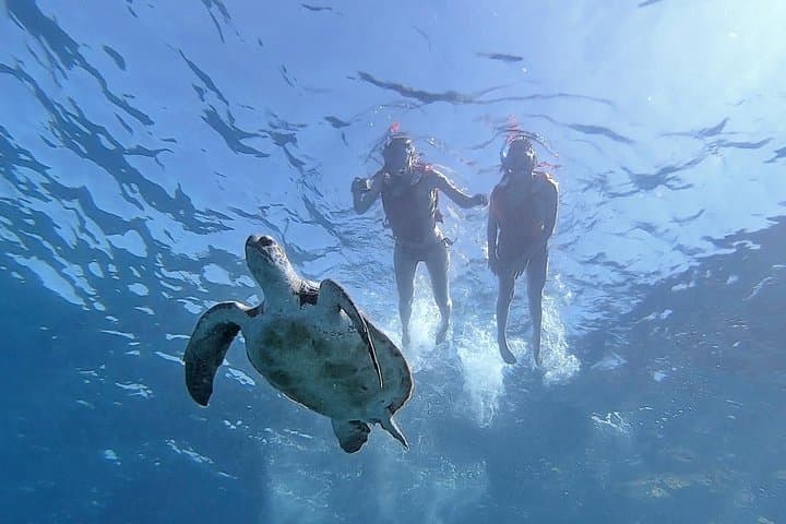 Snorkeling