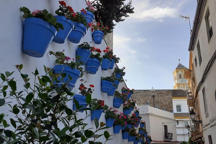 Marbella private walking tour