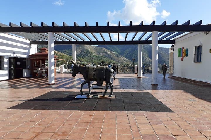 Mijas group tour