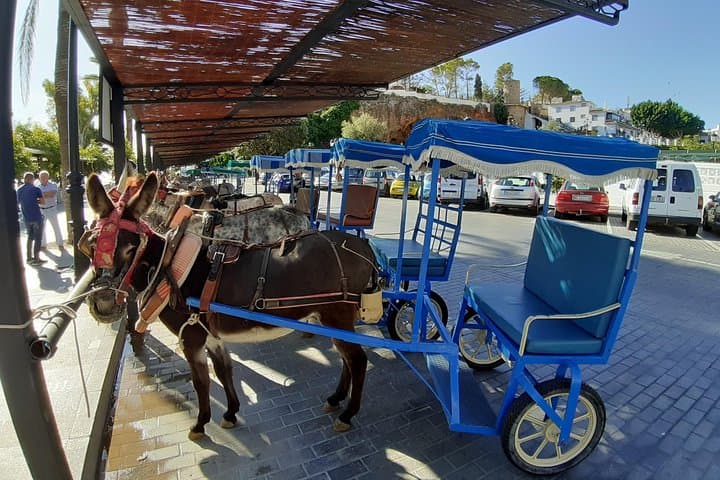 Mijas private walking tour