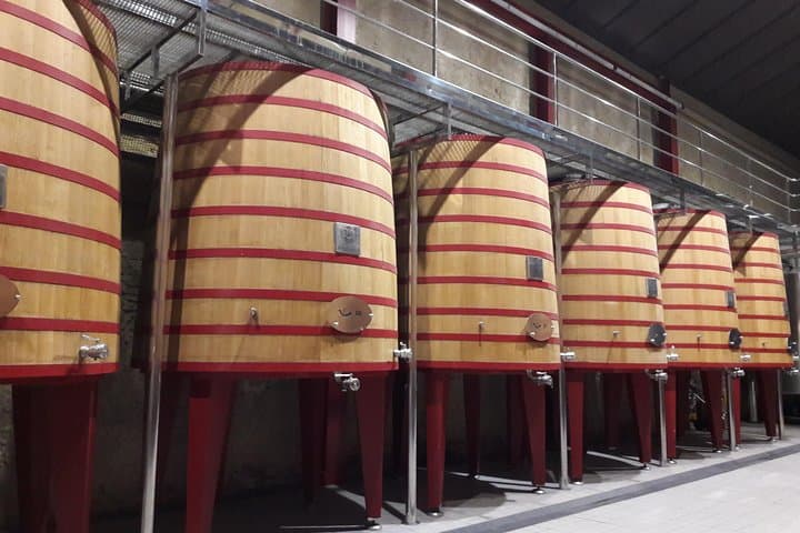Private Rioja wine tasting tour with local lunch