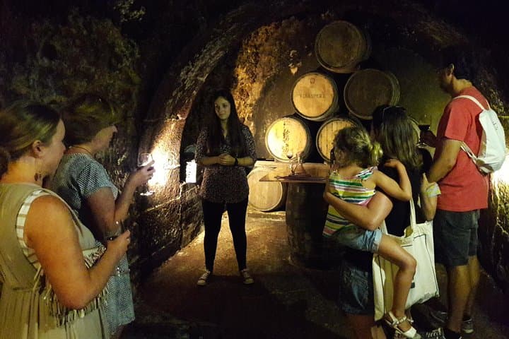 Private Rioja wine tasting tour with local lunch