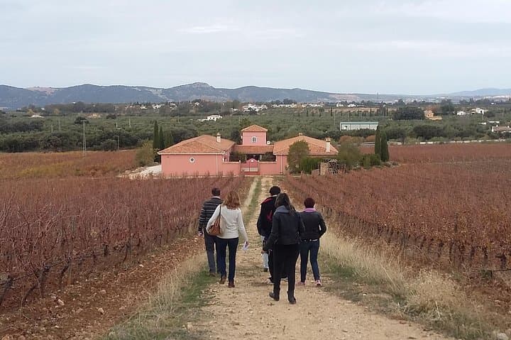 VIP Ronda Wine Tour and Tasting and Gourmet Lunch Experience with Winemaker