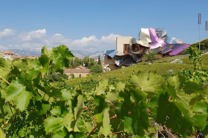La Rioja wines and Laguardia tour from Bilbao