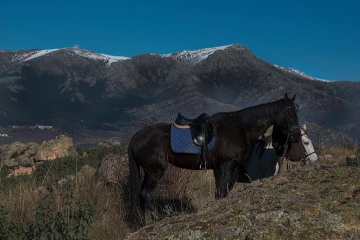 Horse Riding Madrid Natural Park (long Trip)