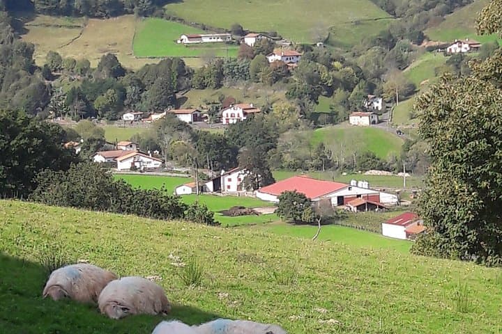 French-Basque Countryside Private tour Discover the hidden beauty of Pyrenees