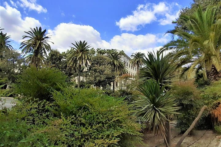 Museum of Malaga
