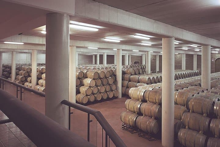 Olive oil and Navarre winery visit with tastings and lunch in small group tour