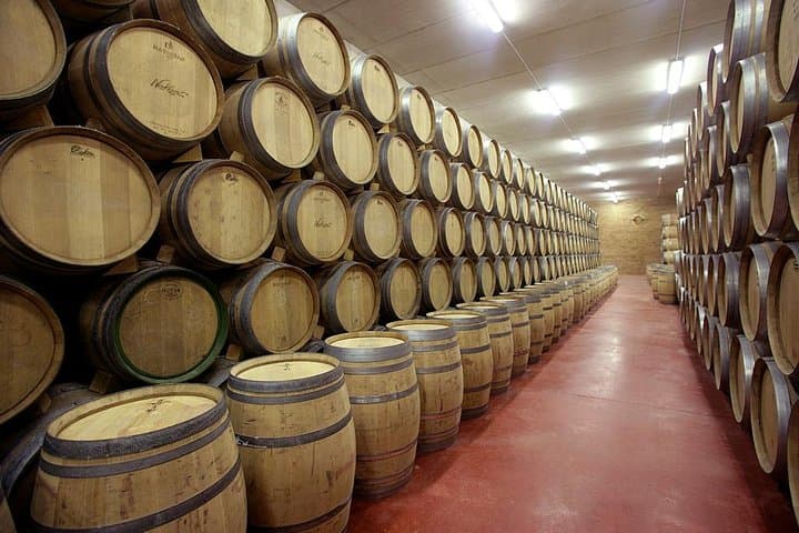 Olive oil and Navarre winery visit with tastings and lunch in small group tour