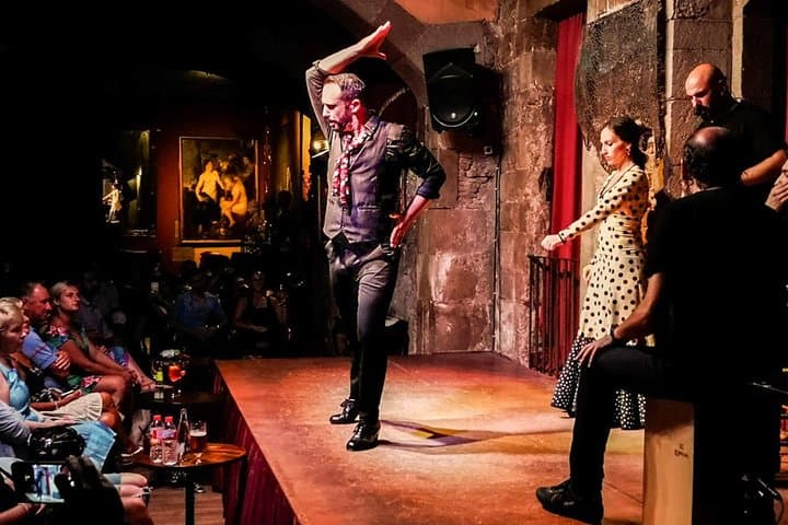 Barcelona Private Tour: Tapas & Wine Tasting with Flamenco Show