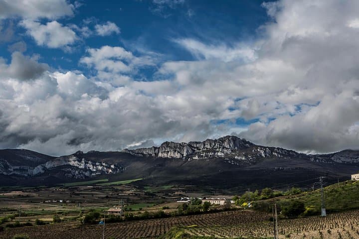 La Rioja wine tour: winery and traditional lunch from Bilbao