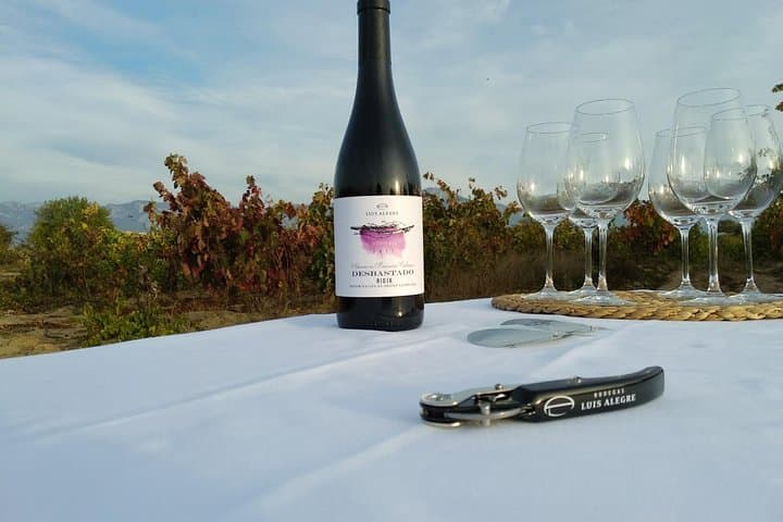 La Rioja wine tour: winery and traditional lunch from Bilbao