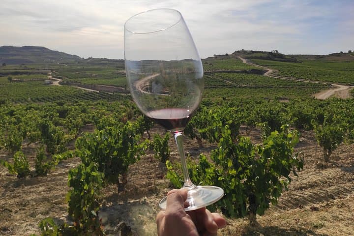 La Rioja wines and Laguardia tour from Pamplona