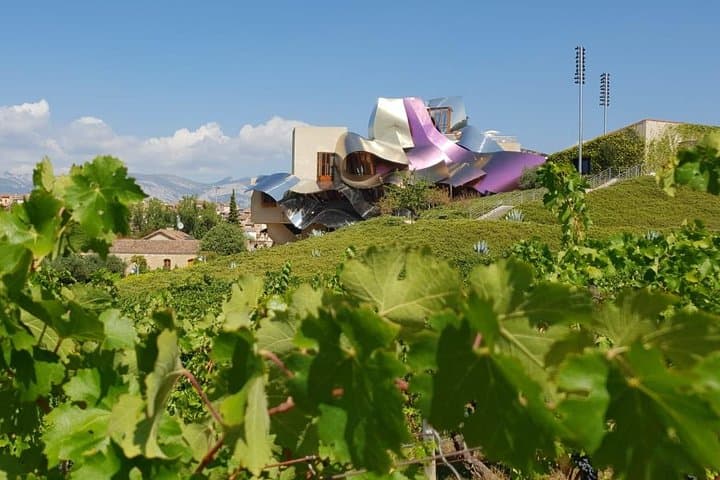 La Rioja wine tour: winery and traditional lunch from Bilbao