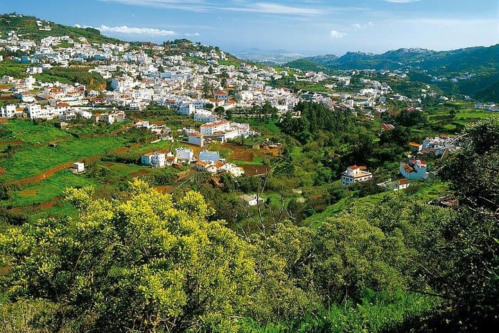 Guided tour: Discover Gran Canaria