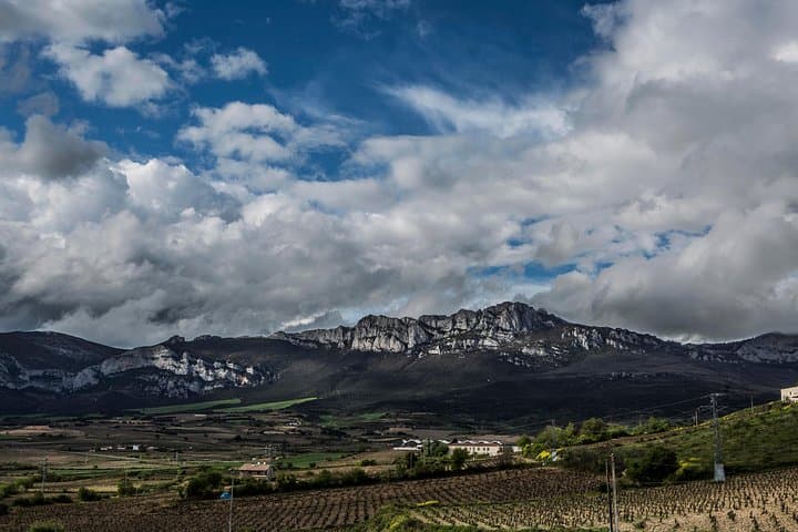 Wine tour: winery and traditional lunch from La Rioja
