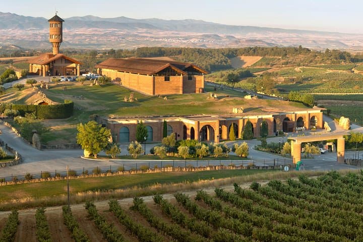 Wine tour: winery and traditional lunch from La Rioja
