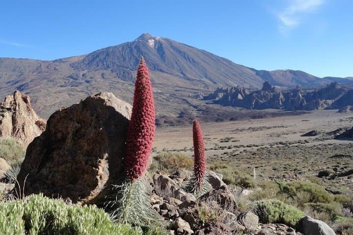 Private VIP Tour Tenerife Magic Circle