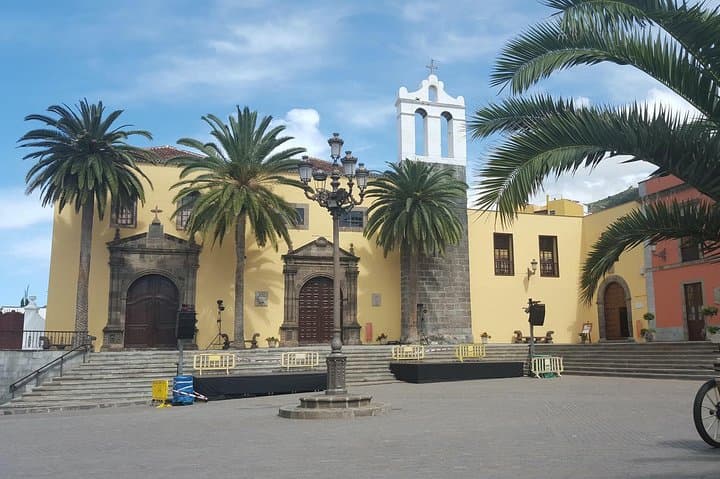 Private VIP Tour Around the Island from Tenerife
