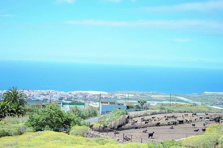 Private VIP Tour Around the Island from Tenerife