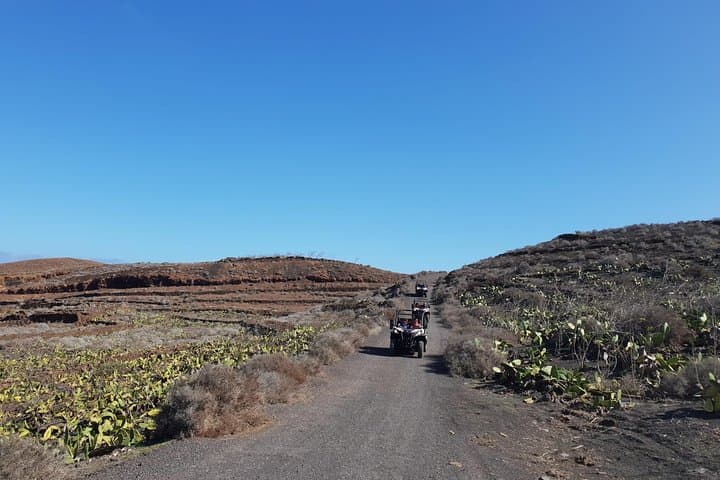 3-Hour Guided Buggy Tour through Northern Lanzarote