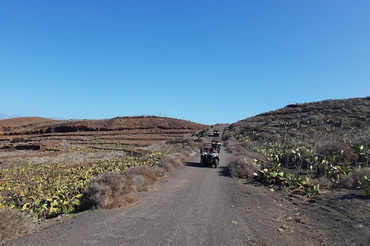 3-hour Buggy Tour from Costa Teguise