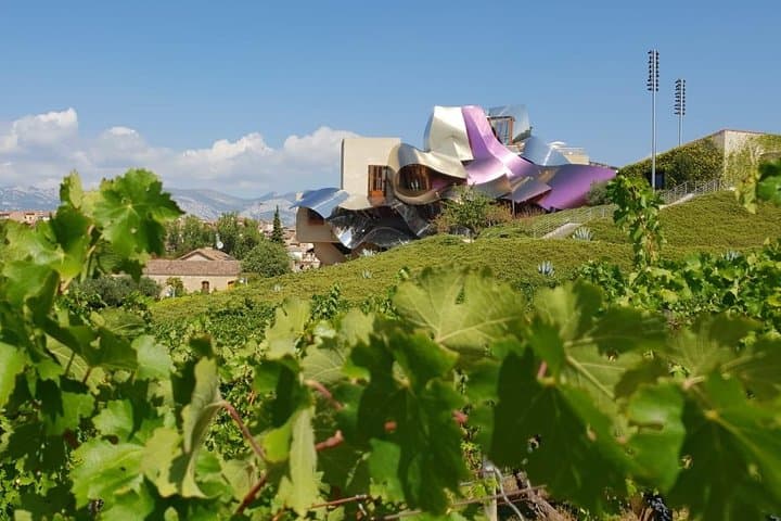 Rioja wine tour: winery visit and lunch from Pamplona