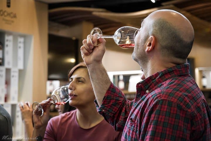 Olive oil and Navarre winery visit with tastings and lunch in small group tour